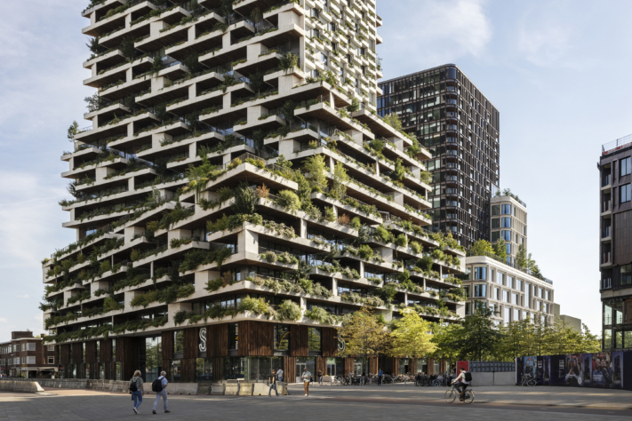 Wonder woods Utrecht Fotografie Giovanni Nardi